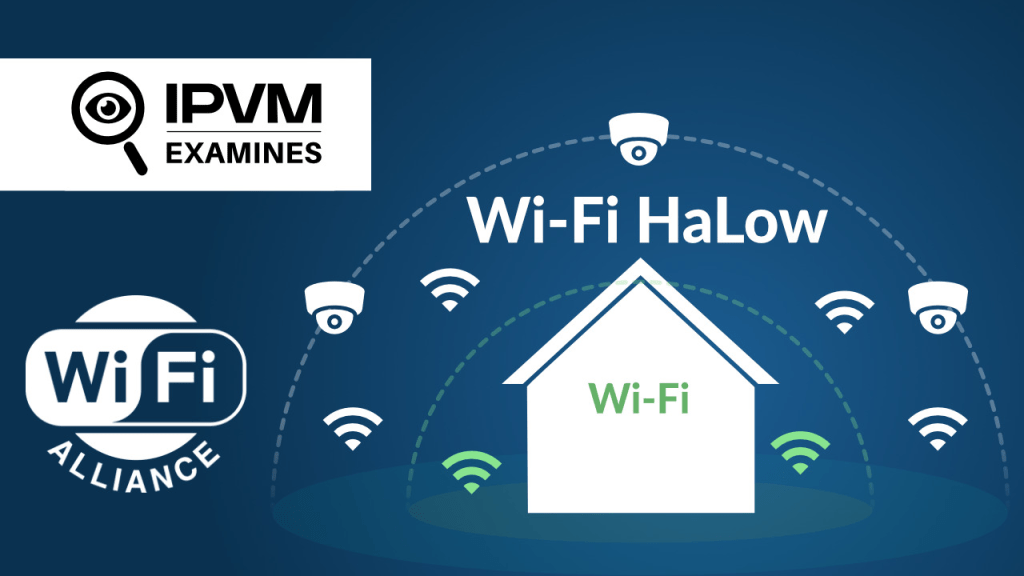 Harnessing Halo in&nbsp;WiFi